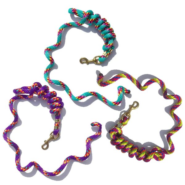 Poly Lead Rope in Rainbow Colors