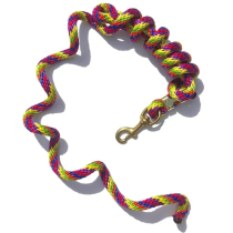 Poly Lead Rope in Rainbow Colors
