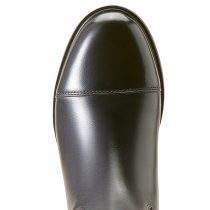 Ariat Devon Tall Dress Boots for Women