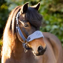 LeMieux Mini Vogue Halter & Leadrope