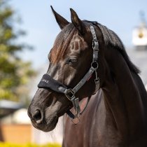 LeMieux Vogue Halter & Leadrope