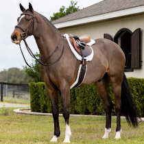 LeMieux Merino+ Hunter Pro Saddle Pad