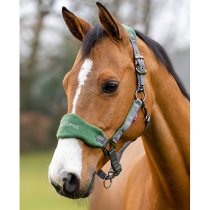 LeMieux Vogue Halter & Leadrope