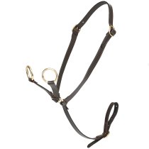 LeMieux Toy Pony Leather Martingale