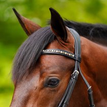 KL Select Elite Dressage Bridle - Full