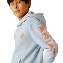 Ariat Logo Hoodie for Boys M