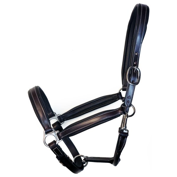 Black Oak Ivy Leather Halter