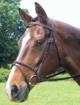 Collegiate Show Bridle Plain Raised Flash Cob