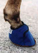 Equine Slippers For Horses