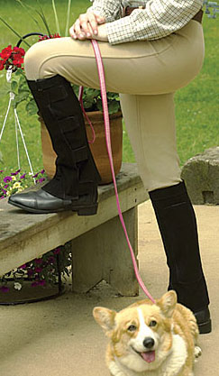 Perri's Leather Half Chaps with Hook and Loop Closure