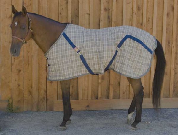 Baker Original Plaid Sheet