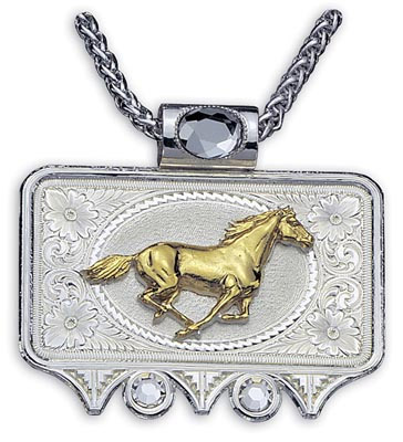 Montana Silversmiths Western Ice Choker