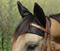 Cashel Comfort Ears