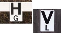Burlingham Sports Wall Letters and Rail Letters