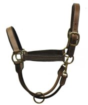 Arc de Triumph Premium Leather Halter Cob