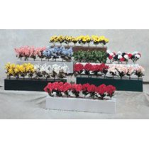 Burlingham Sports Flower Box