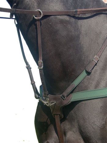 Amerigo Custom Combination Breastplate
