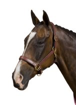 Collegiate Deluxe Padded Break Away Halter
