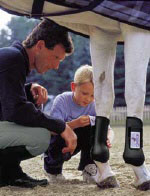 Eskadron Protection Jump Boots