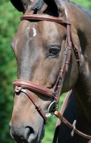 Arc de Triomphe (ADT) Starman Bridle