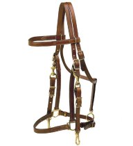 Tory Leather Combination English Halter/Bridle