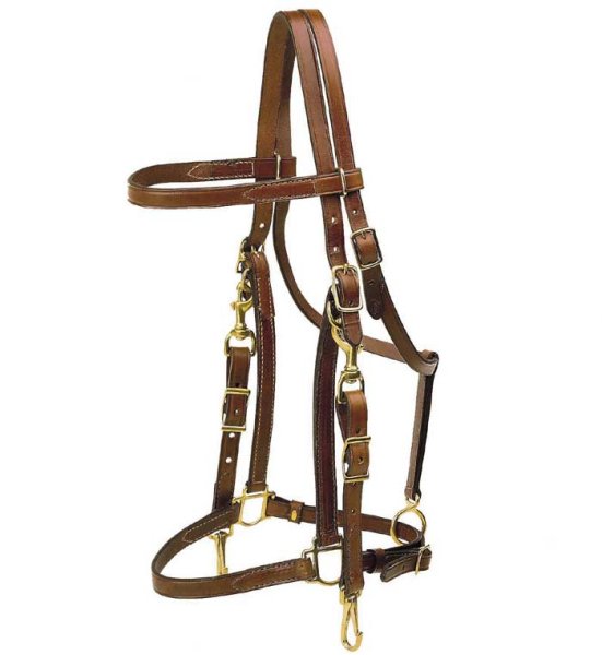 Tory Leather Combination English Halter/Bridle