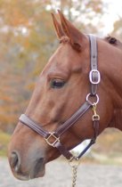 KL Select Red Barn Lainie Padded Halter