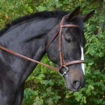 KL Select Red Barn Sovereign Hunter Bridle