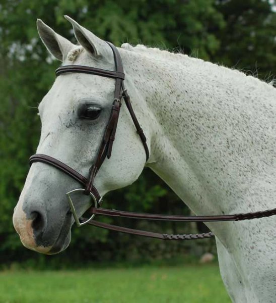KL Select Red Barn Icon Square Raised Fancy Padded Bridle